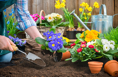 garden tools