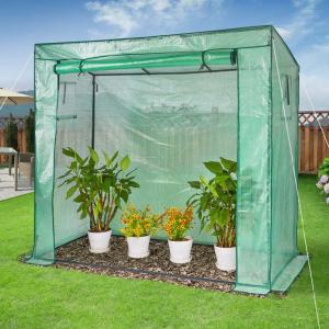 Greenhouse